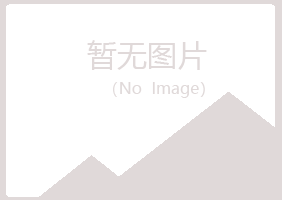 天津白山化学有限公司